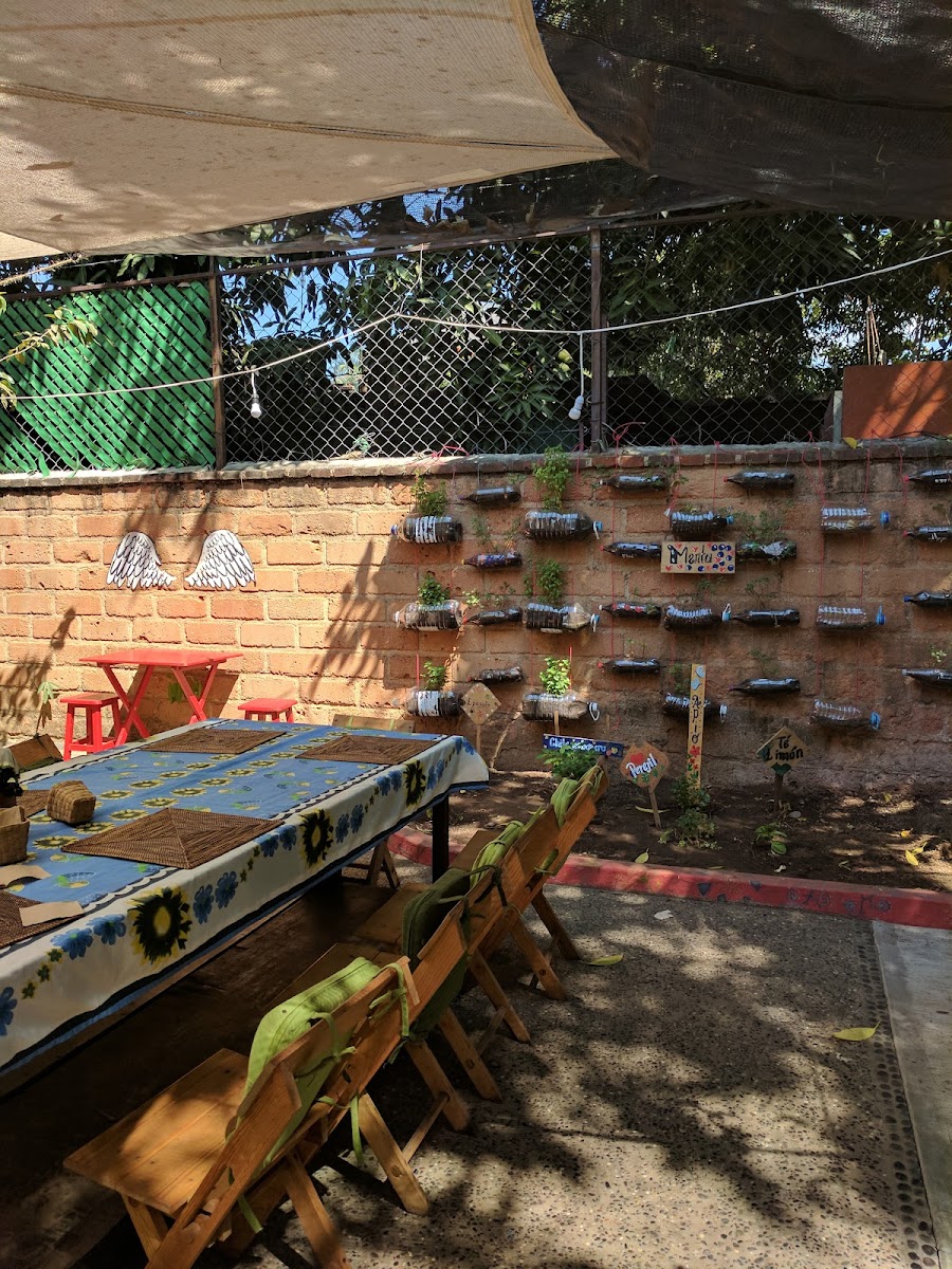 Casita Eco-Vegana De Zihuatanejo (Cooperativa)